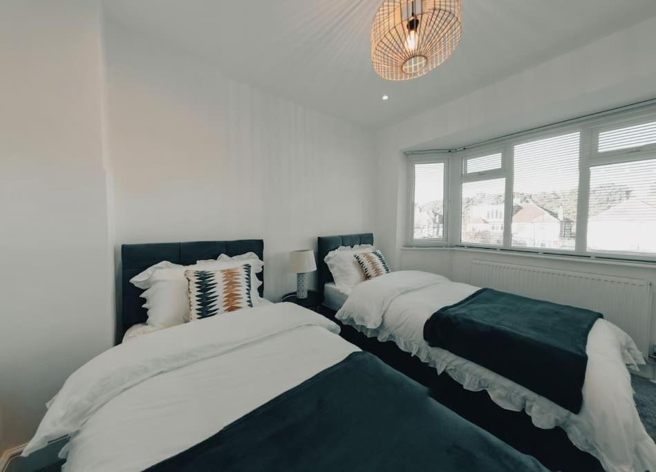 Homely & Peaceful Living Space Morden  المظهر الخارجي الصورة